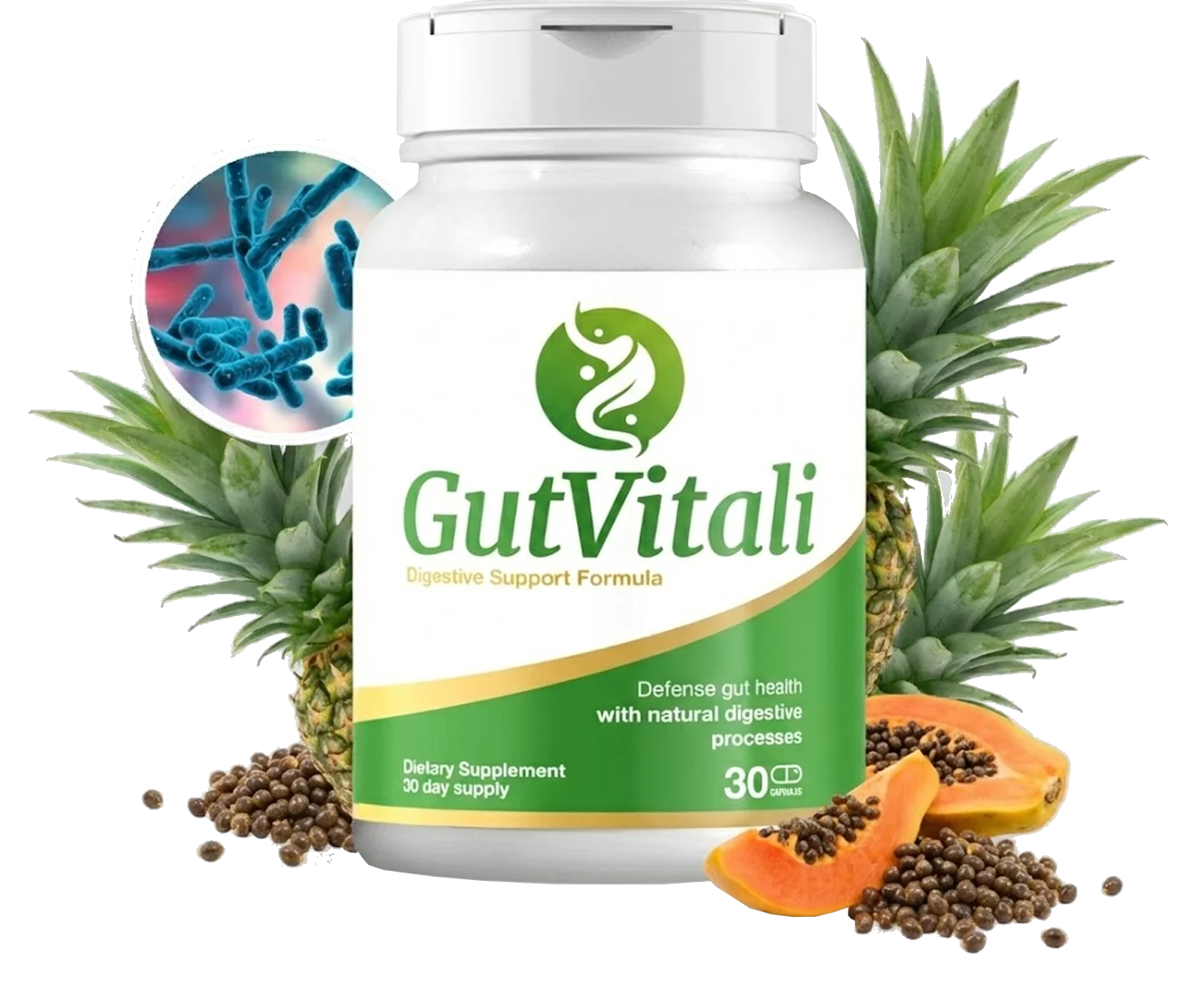 Gut Vitali Digestive Support Supplement